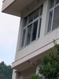 PXL_20260616_005851595.MP